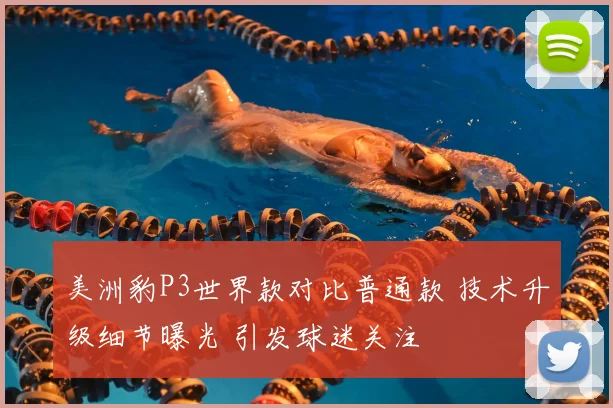 美洲豹P3世界款对比普通款 技术升级细节曝光 引发球迷关注
