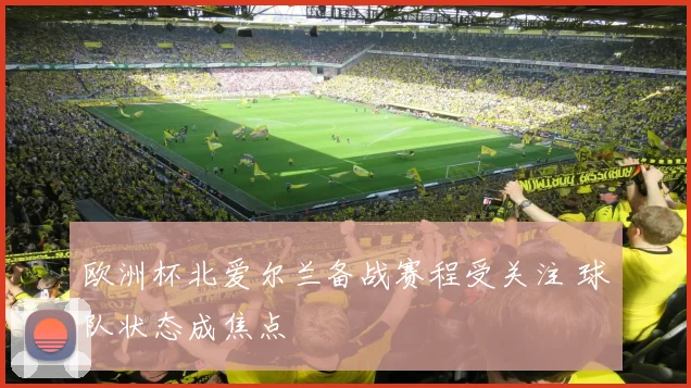 欧洲杯北爱尔兰备战赛程受关注 球队状态成焦点