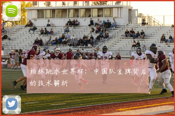 柏林跳水世界杯：中国队金牌背后的技术解析